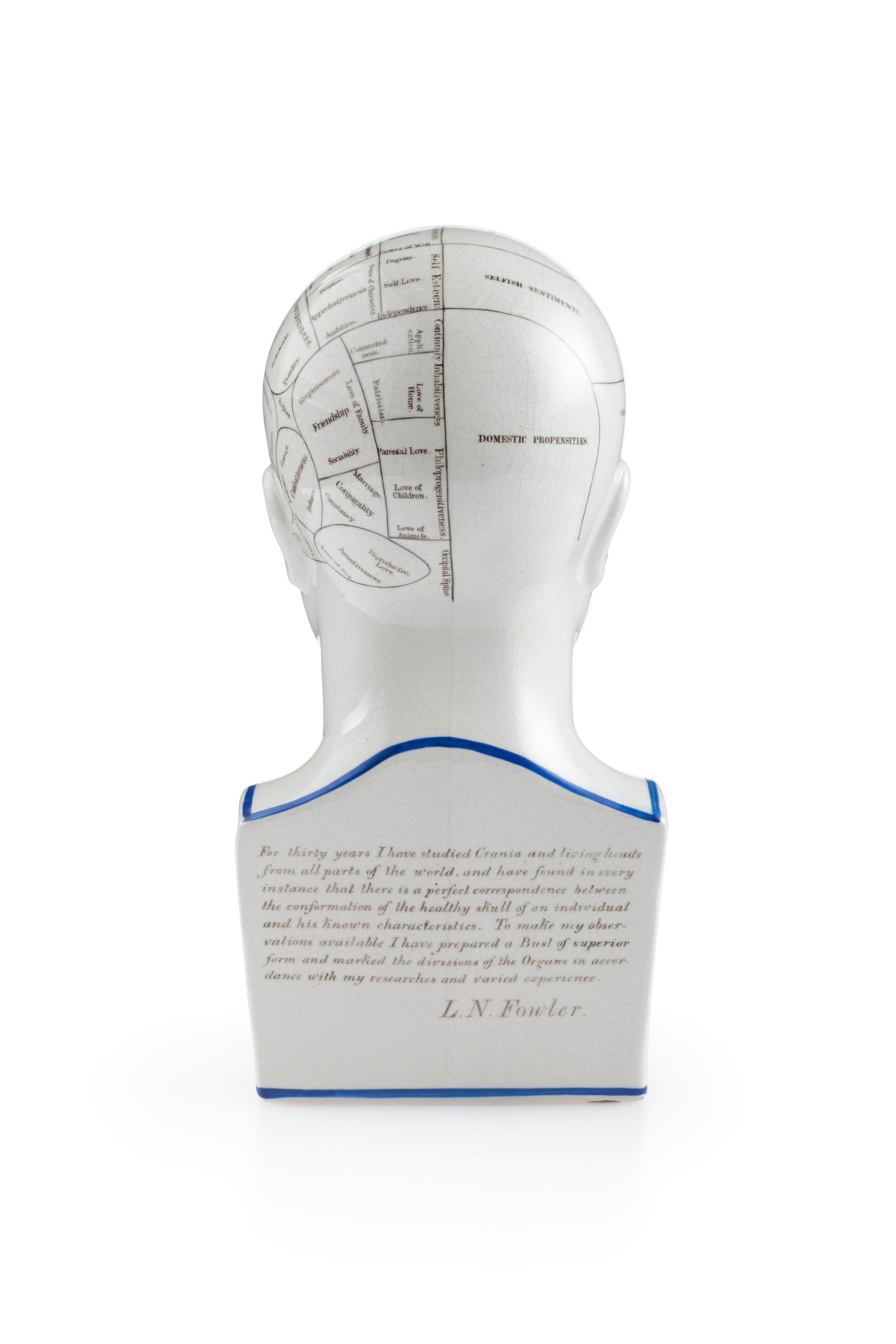Powerhouse Collection - Phrenological bust, 1879-1896
