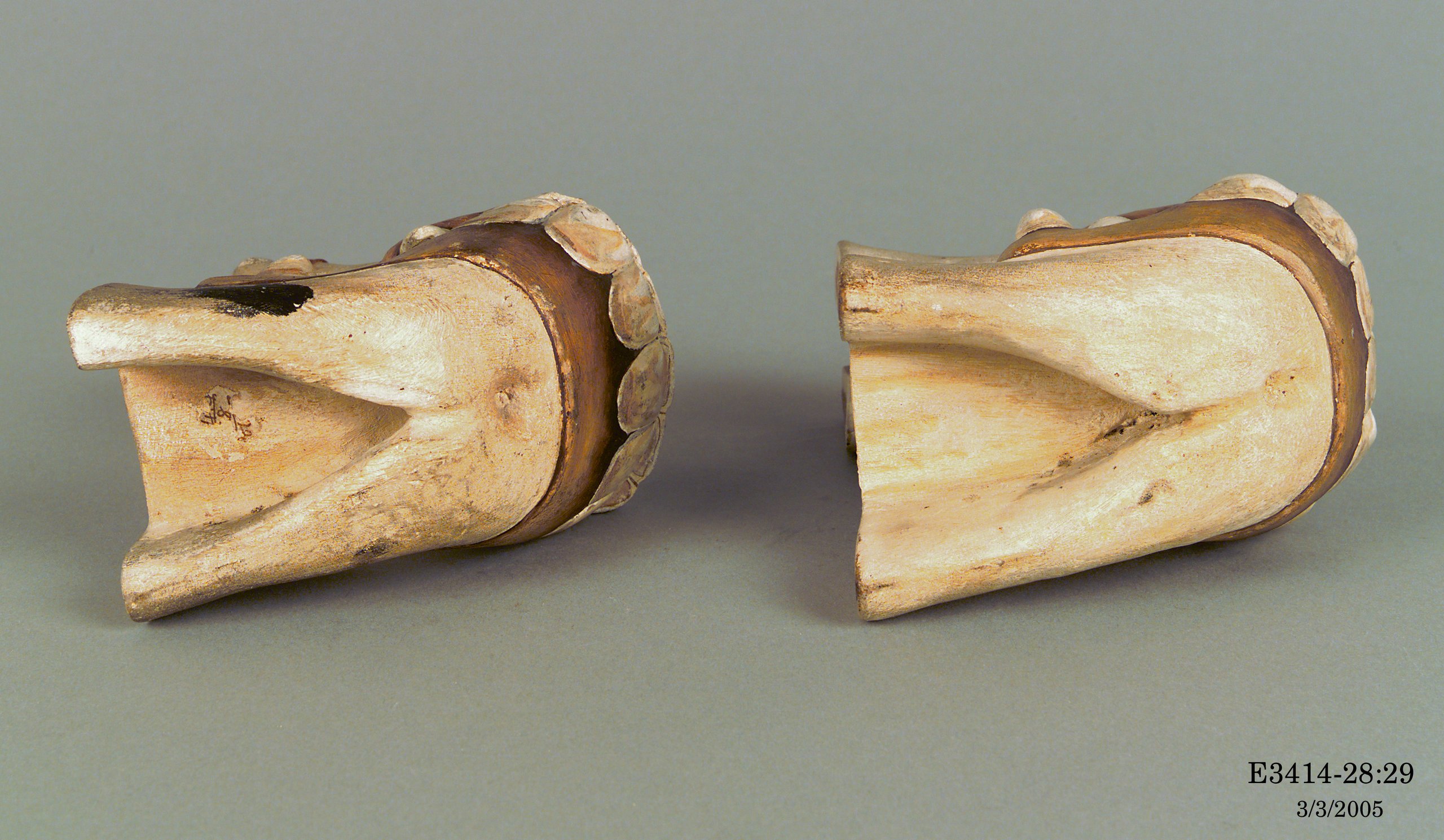 Collection of plaster casts of horse teeth ranging from birth to old age