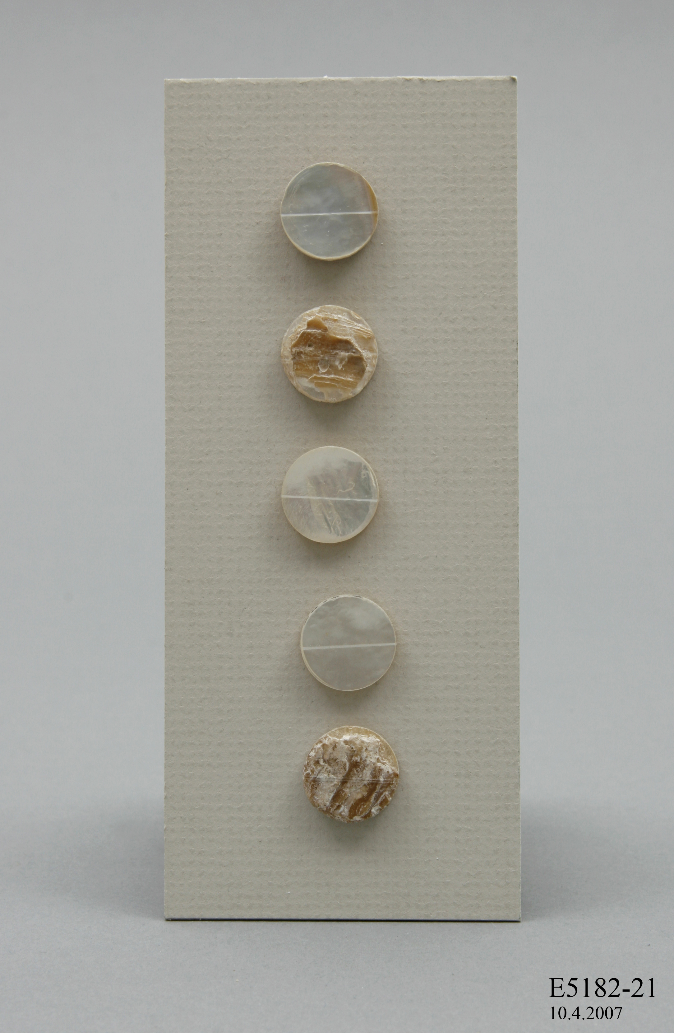 Five split pearl blanks mounted on white card.