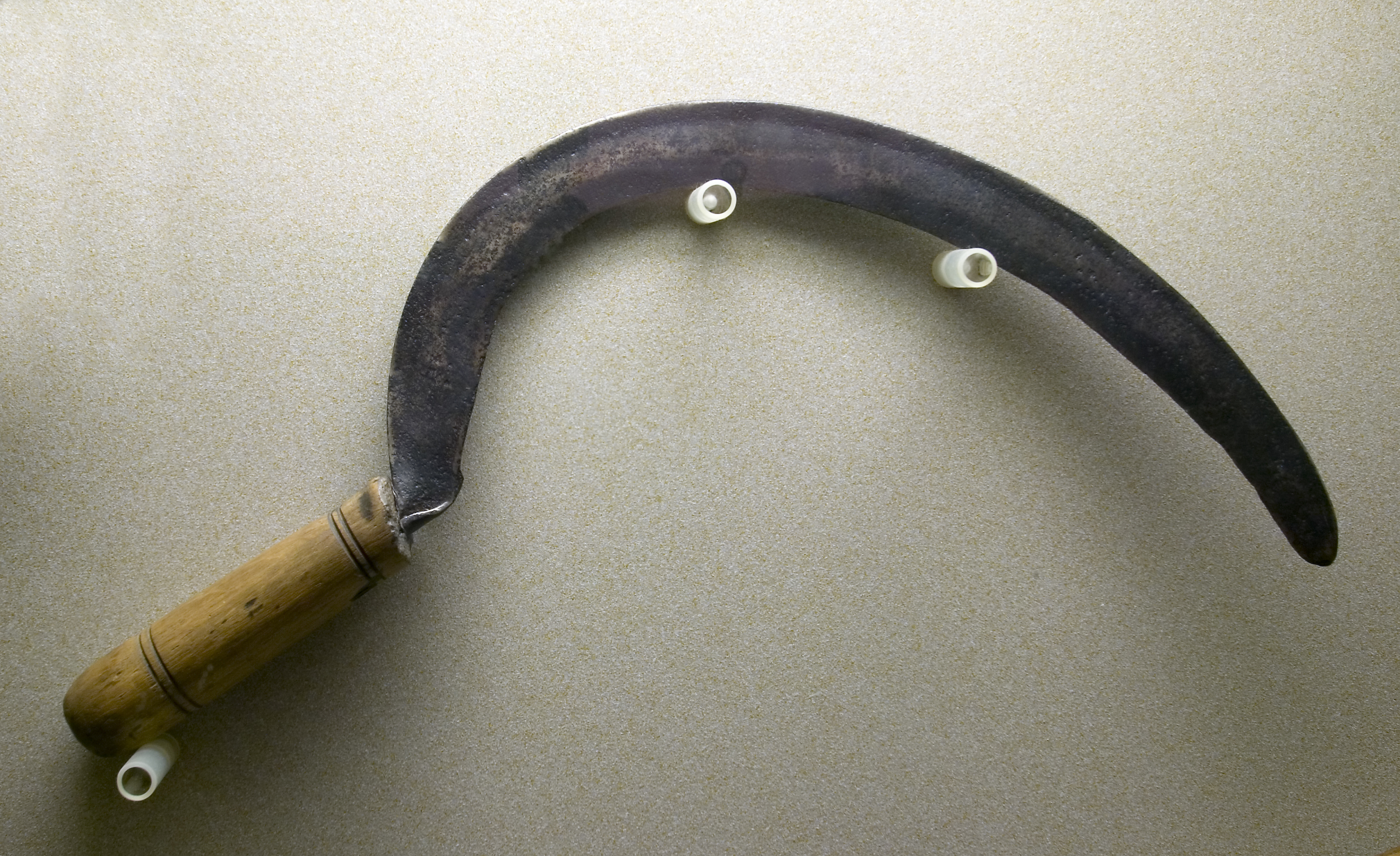 Sickle or reaping hook used to hand harvest cereal crops