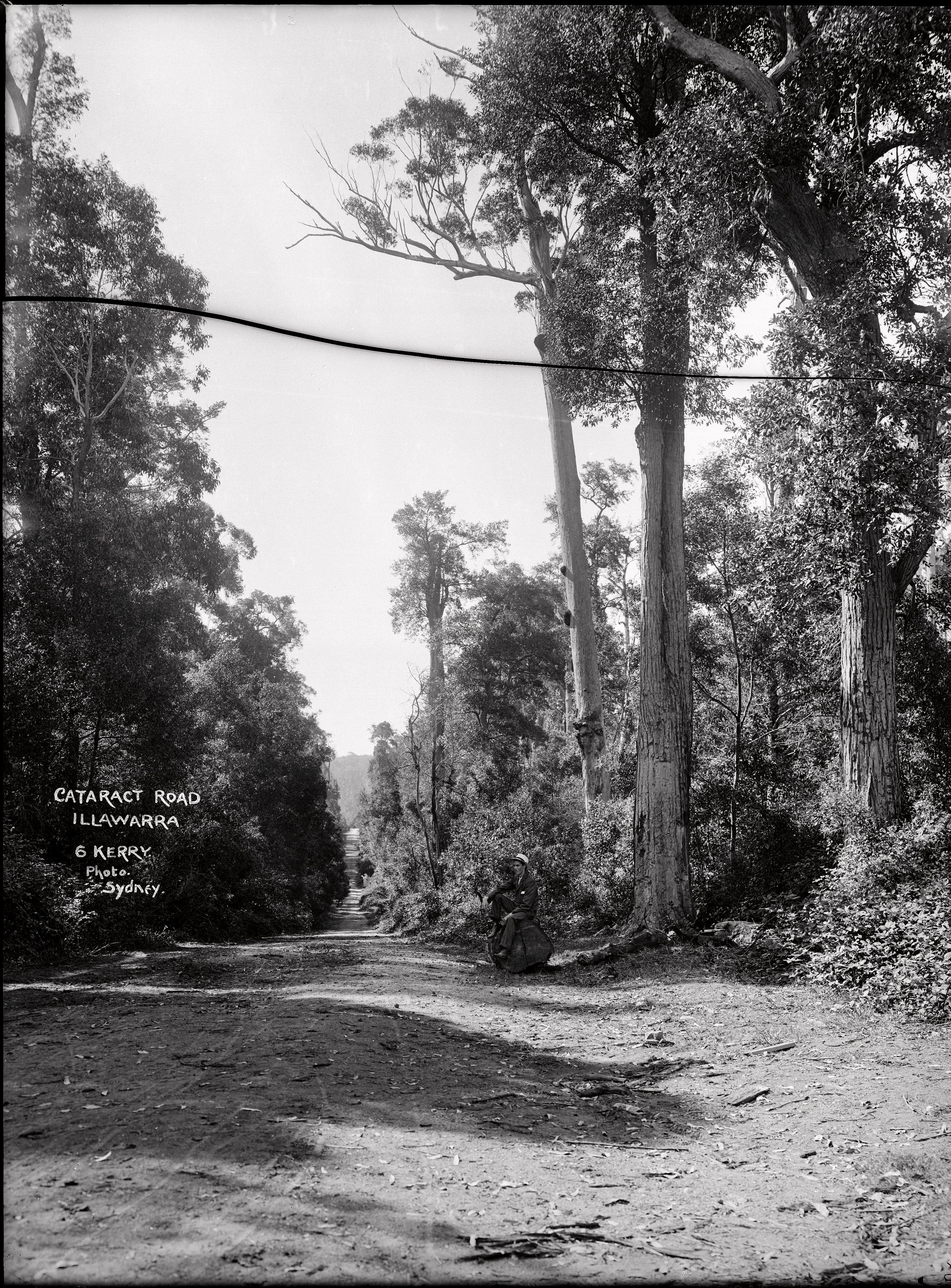 Glass plate negative