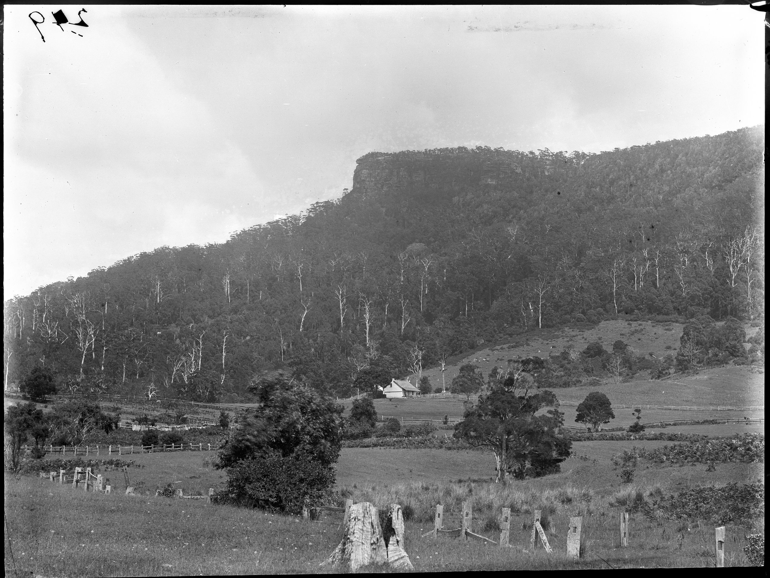 Glass plate negative