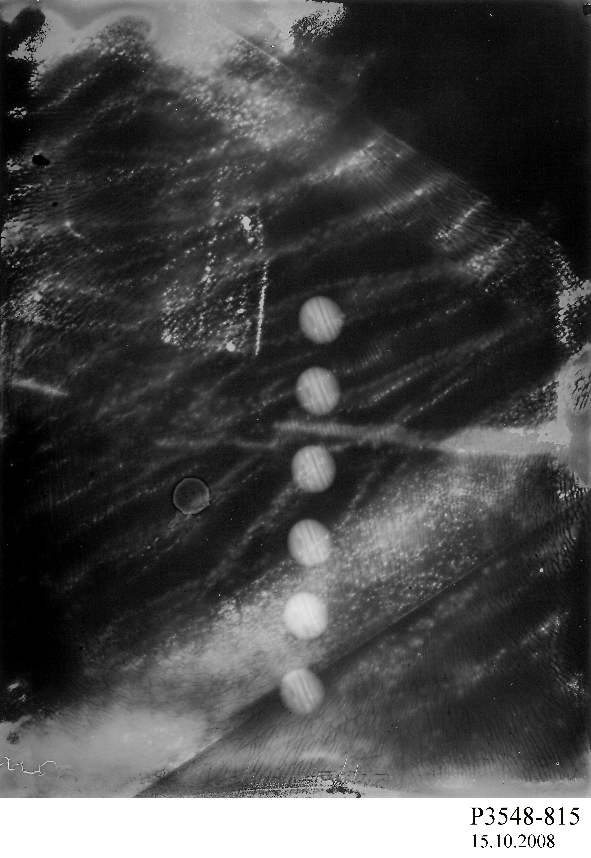 Glass plate negative