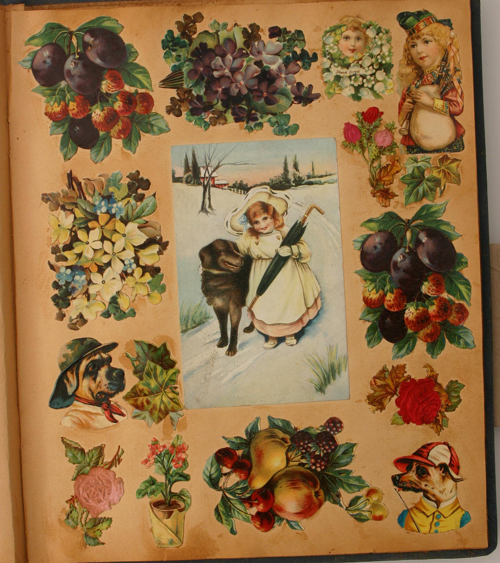 Powerhouse Collection - Victorian era scrapbooks