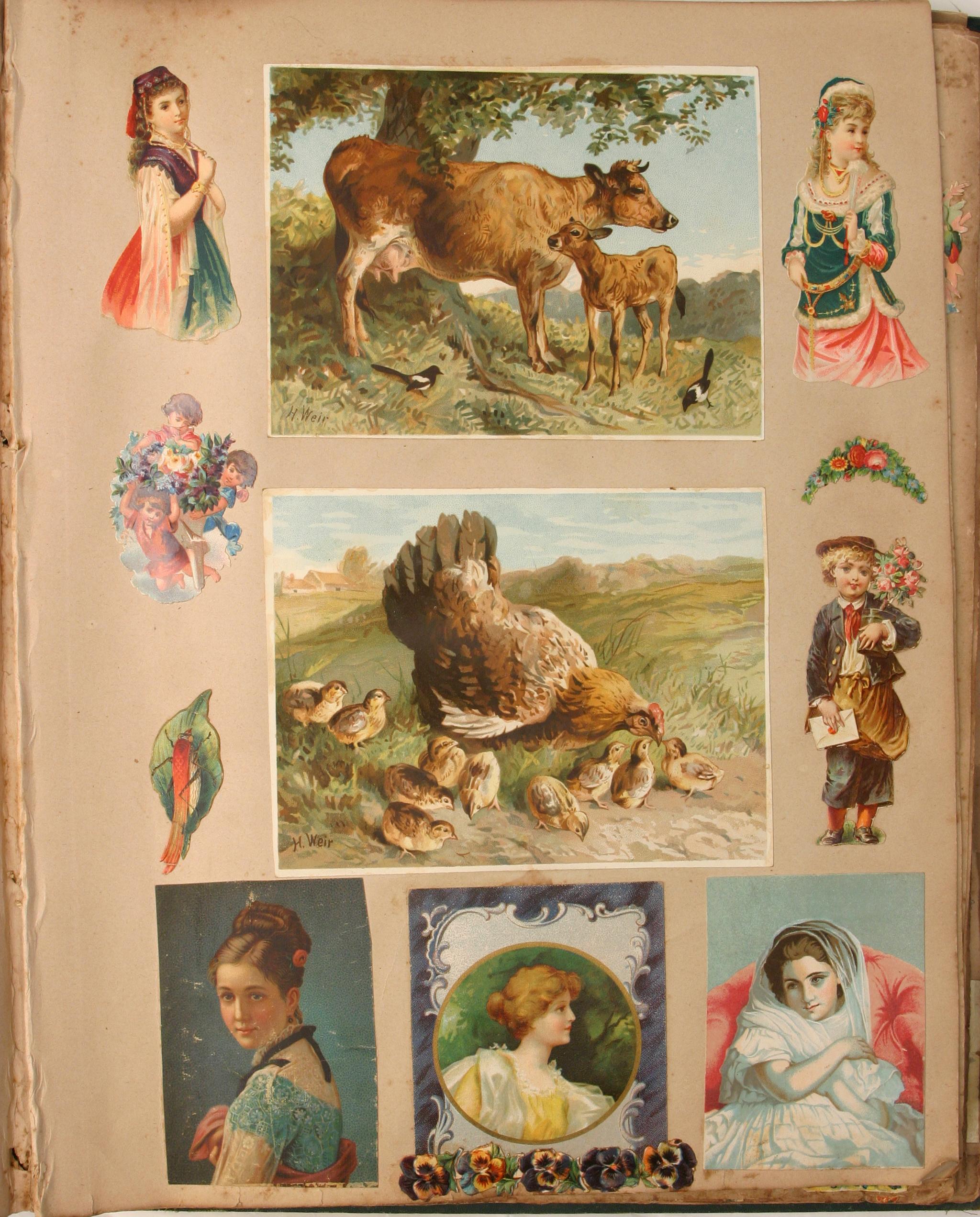 Powerhouse Collection - Victorian era scrapbooks, 1880-1890