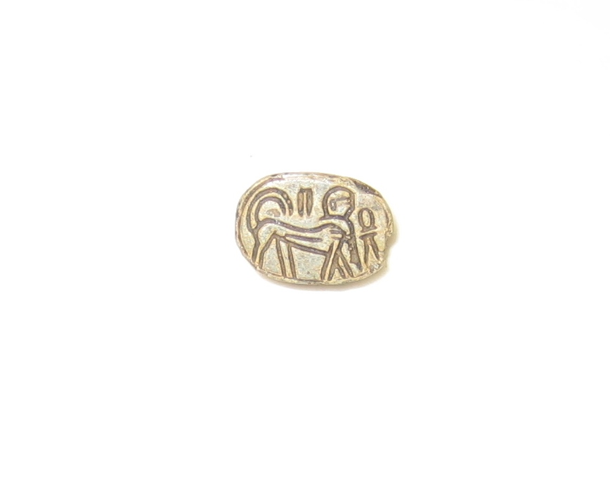 Eartheware scarab