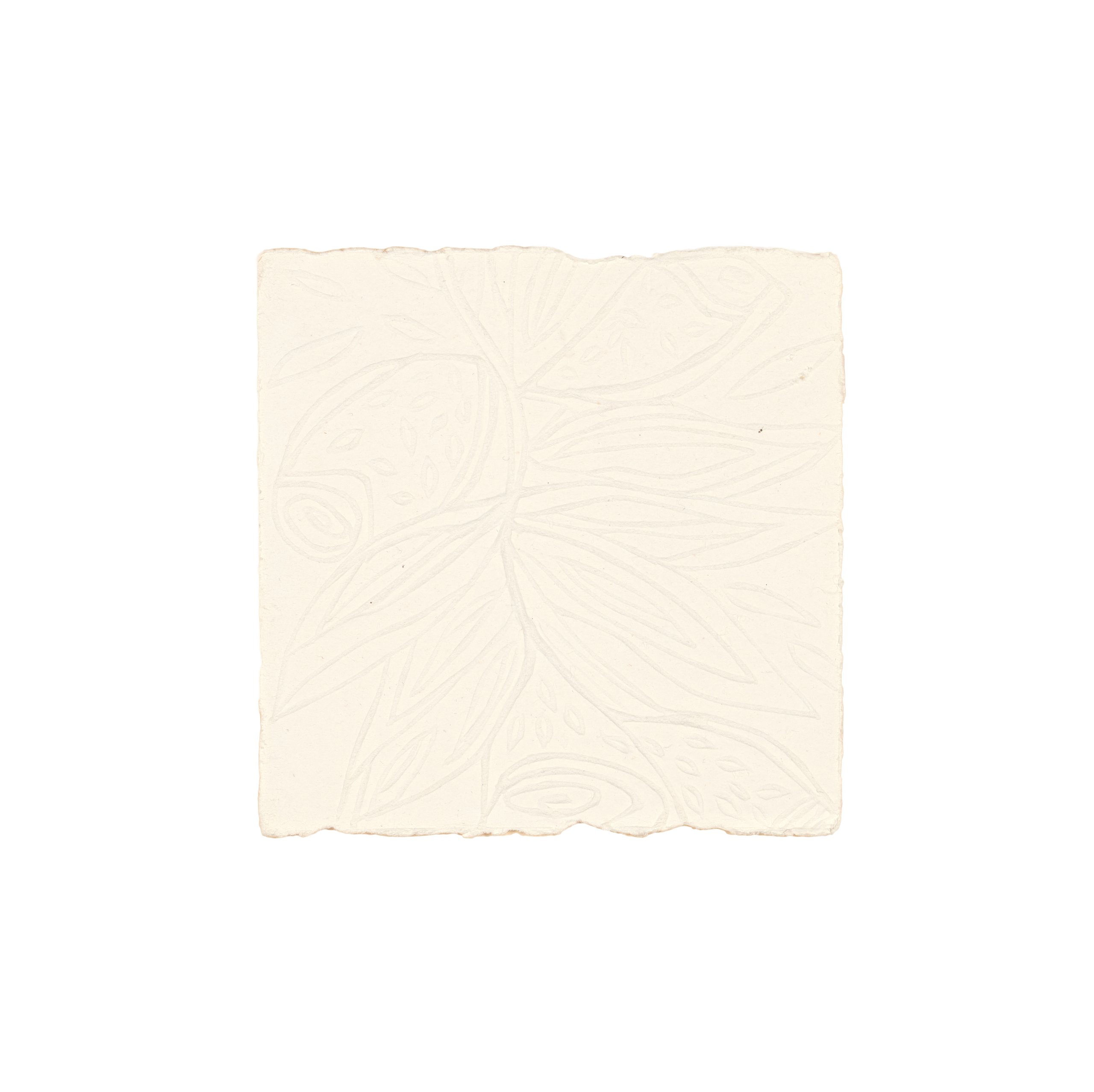 Embossed paper by Euraba Paper Company