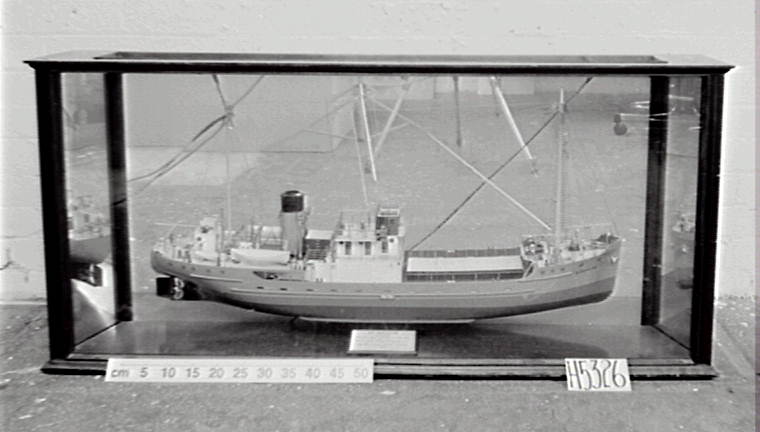 Ship model.half model of screw steamer "Bangalow"