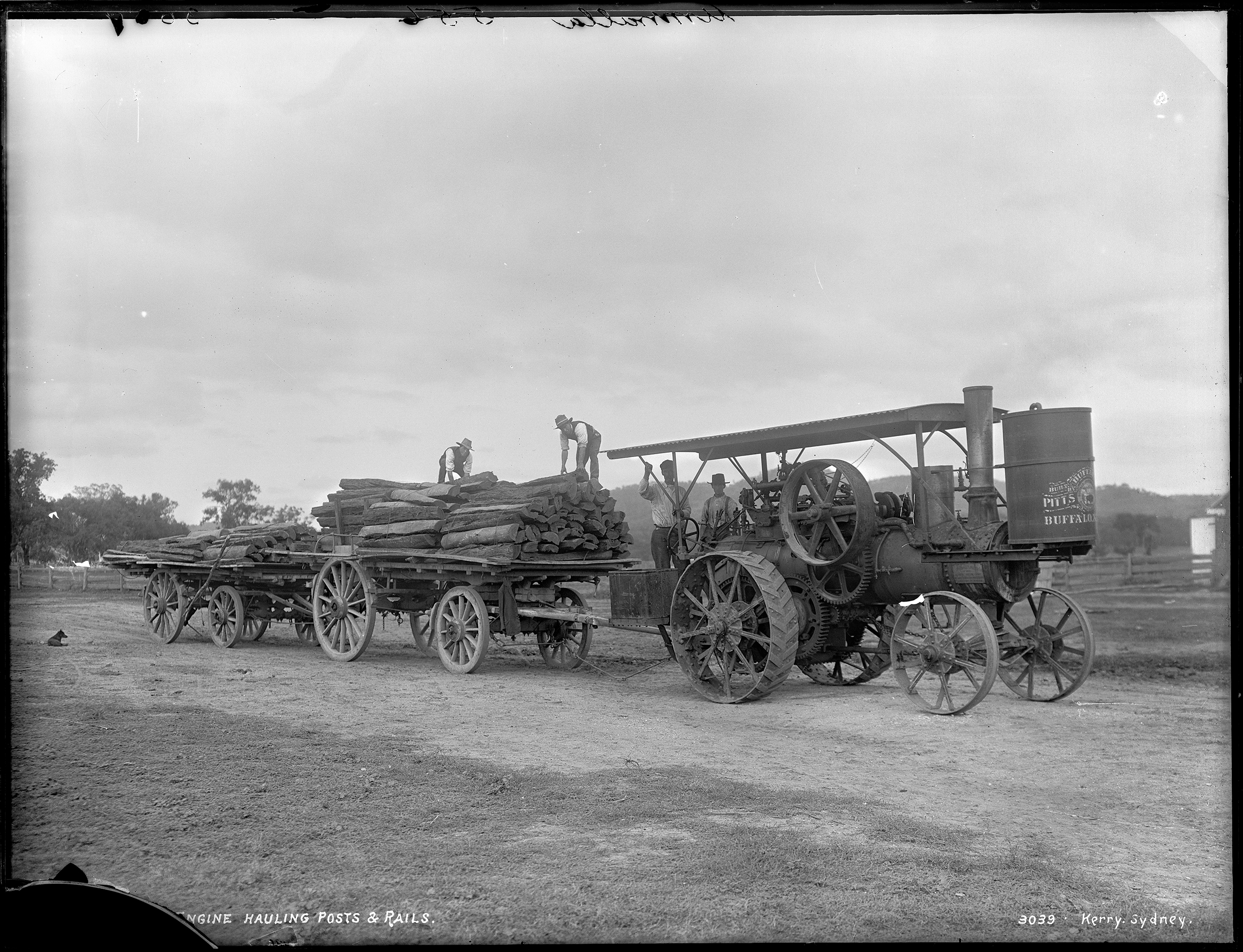 Glass plate negative of a Buffalo Pitts steam traction engine hauling timber wagons in New South Wales, 1890-1917