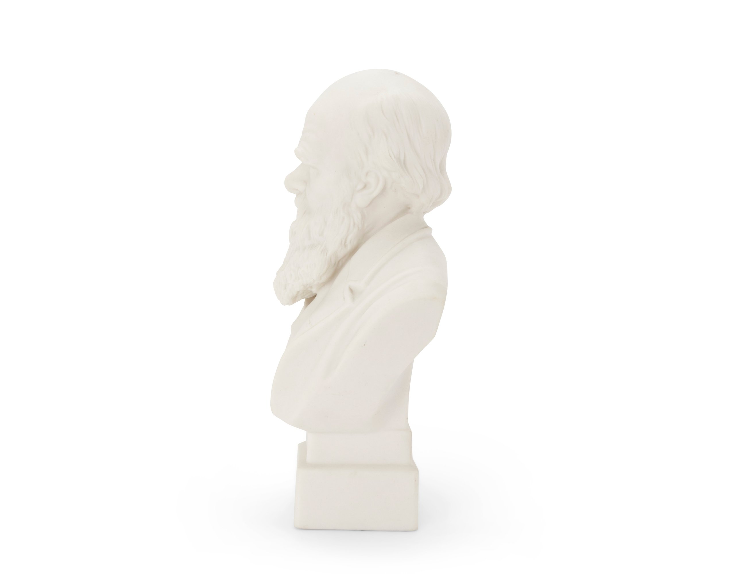 Porcelain bust of Charles Darwin