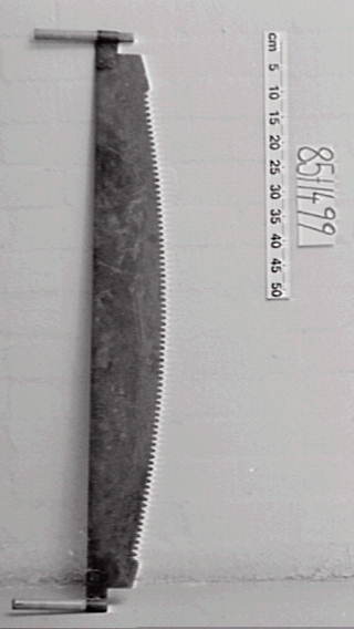 Pit saw used at Sydney Observatory