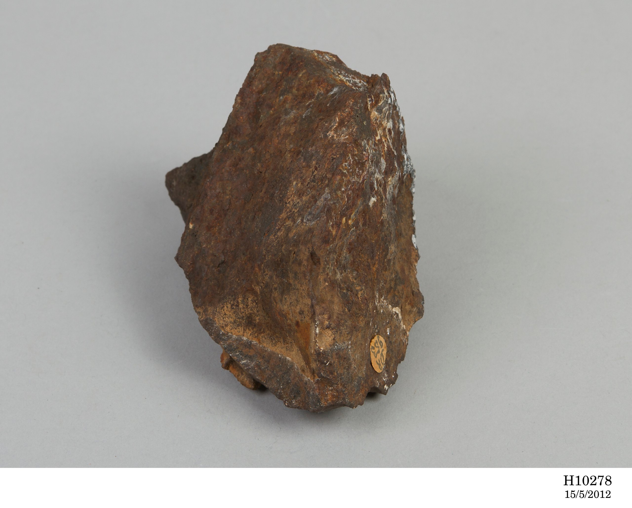 Meteorite from Brewarrina