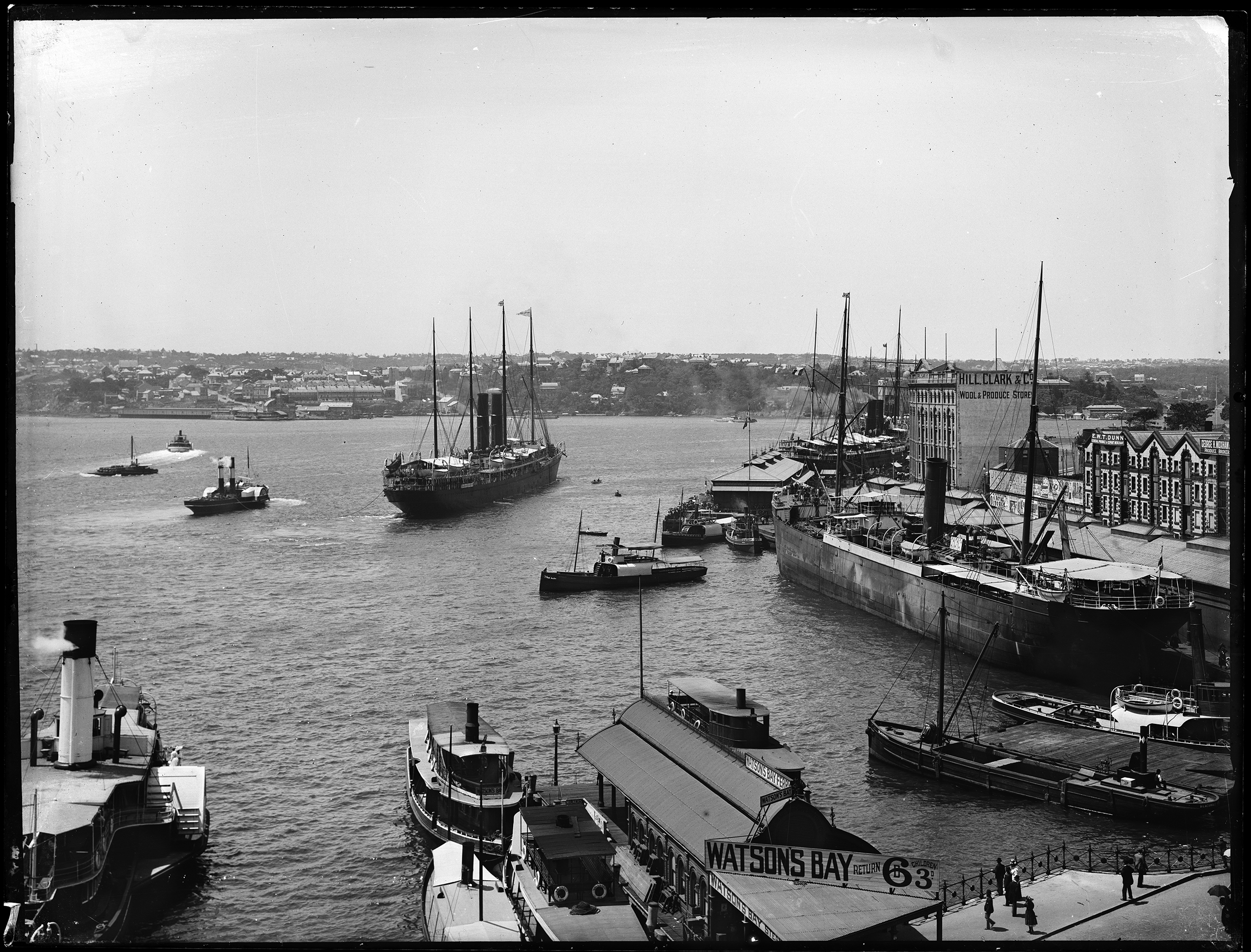 Glass plate negative of Orient liner 'Austral', paddle tug 'Commodore' and various ships, tugs and ferries in Sydney Cove, 1884-1908