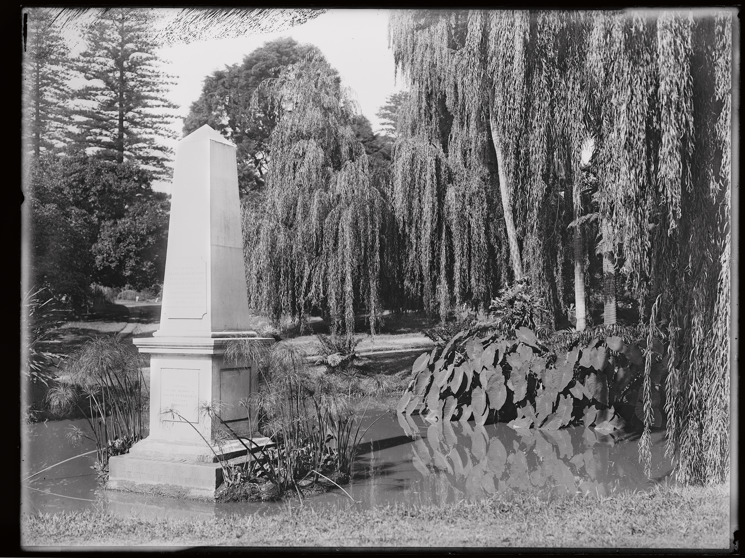 'Allan Cunningham Monument' from the Tyrrell Collection