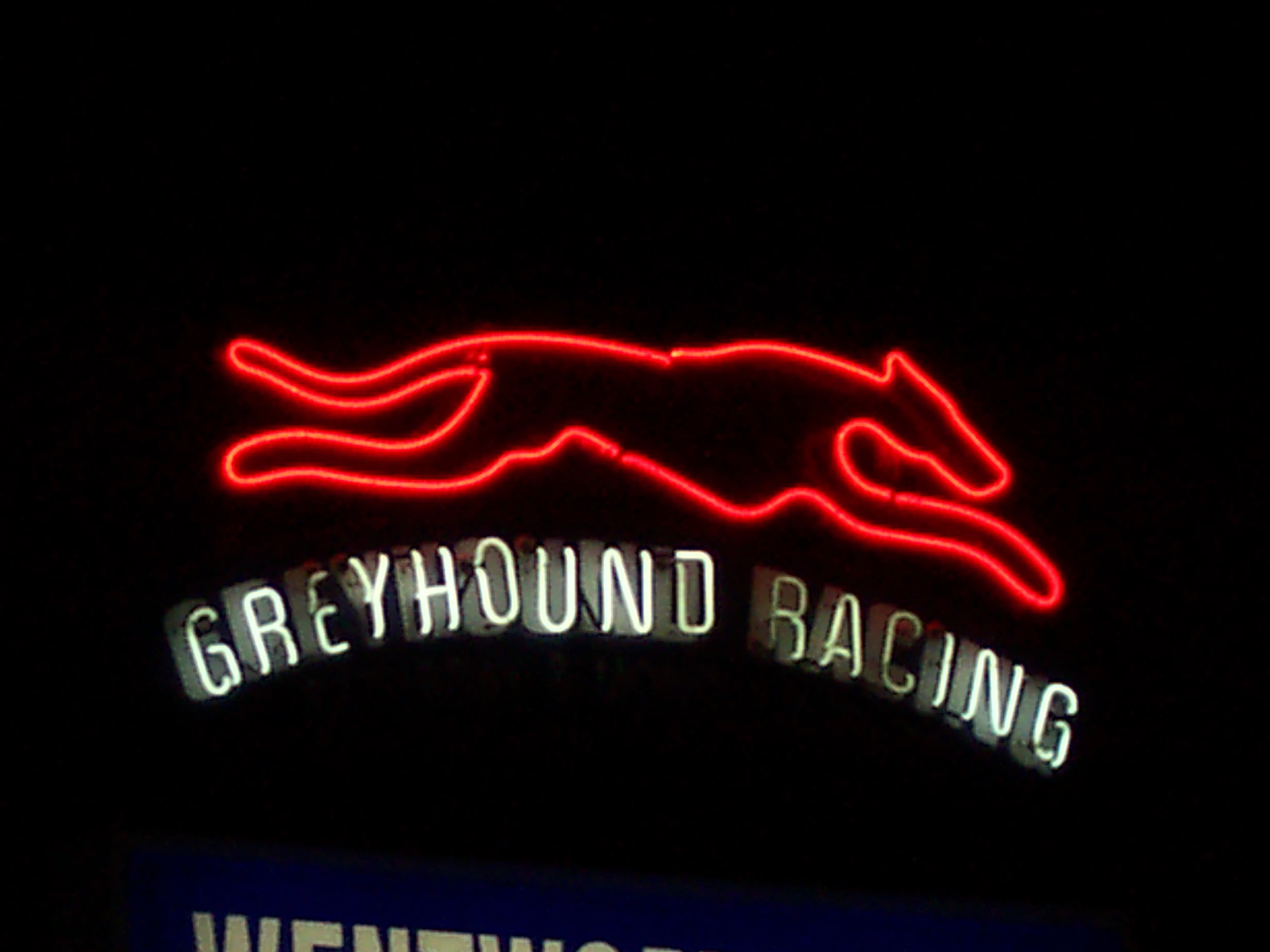 Neon sign from Wentworth Park Raceway Sydney