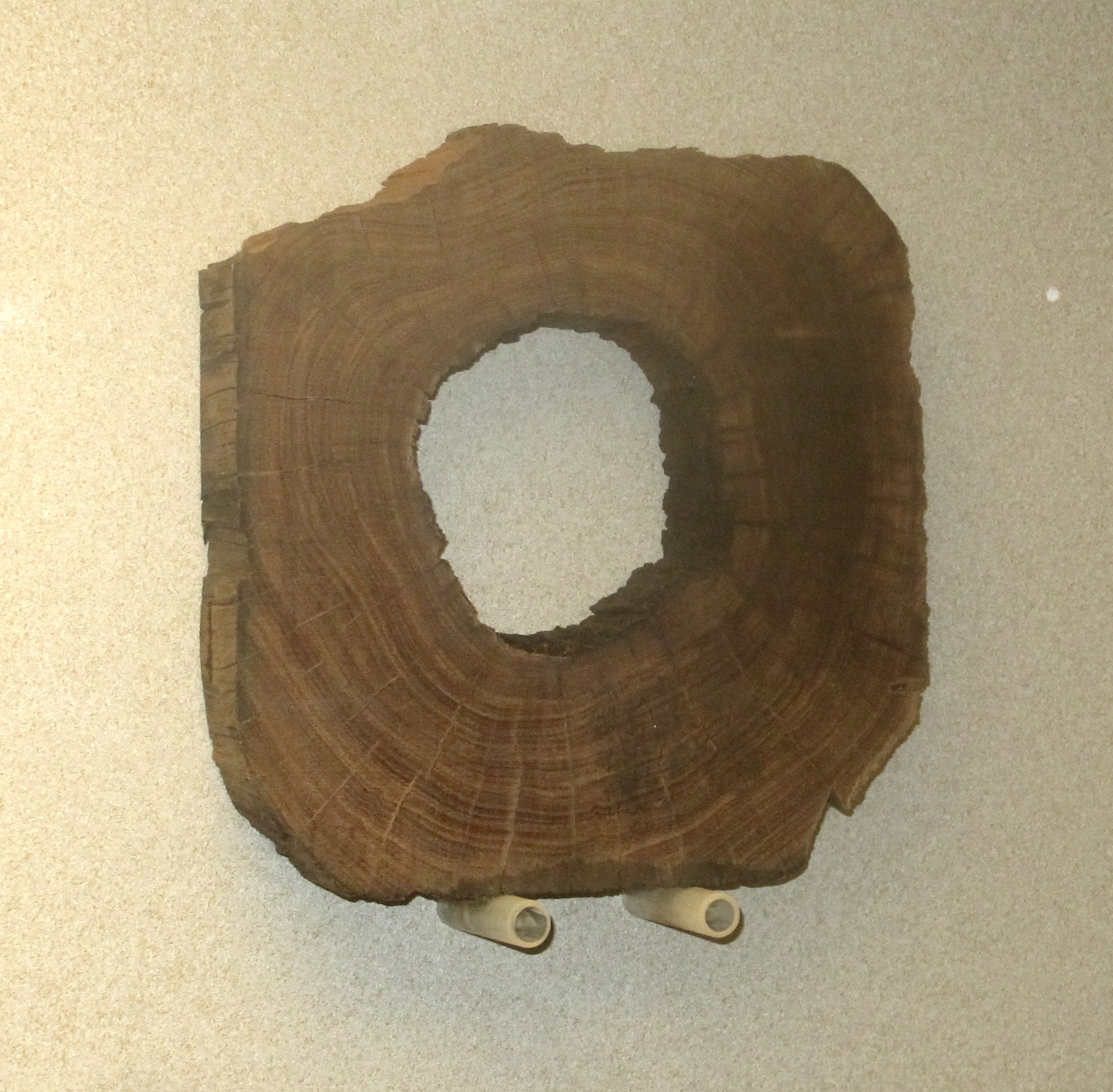 Section of pump shaft excavated from Wynyard Square in 1827
