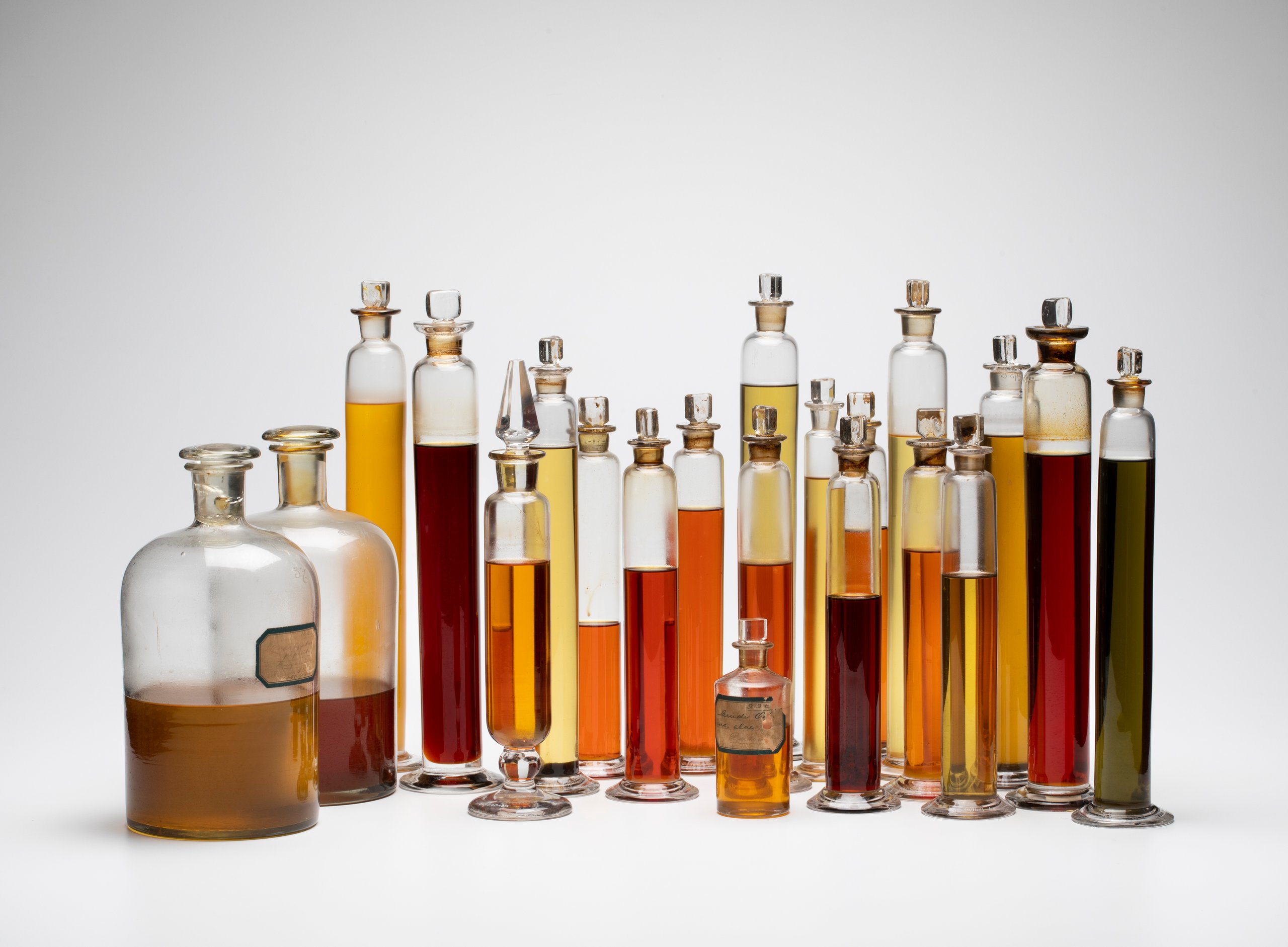 Bottles containing botanical specimens