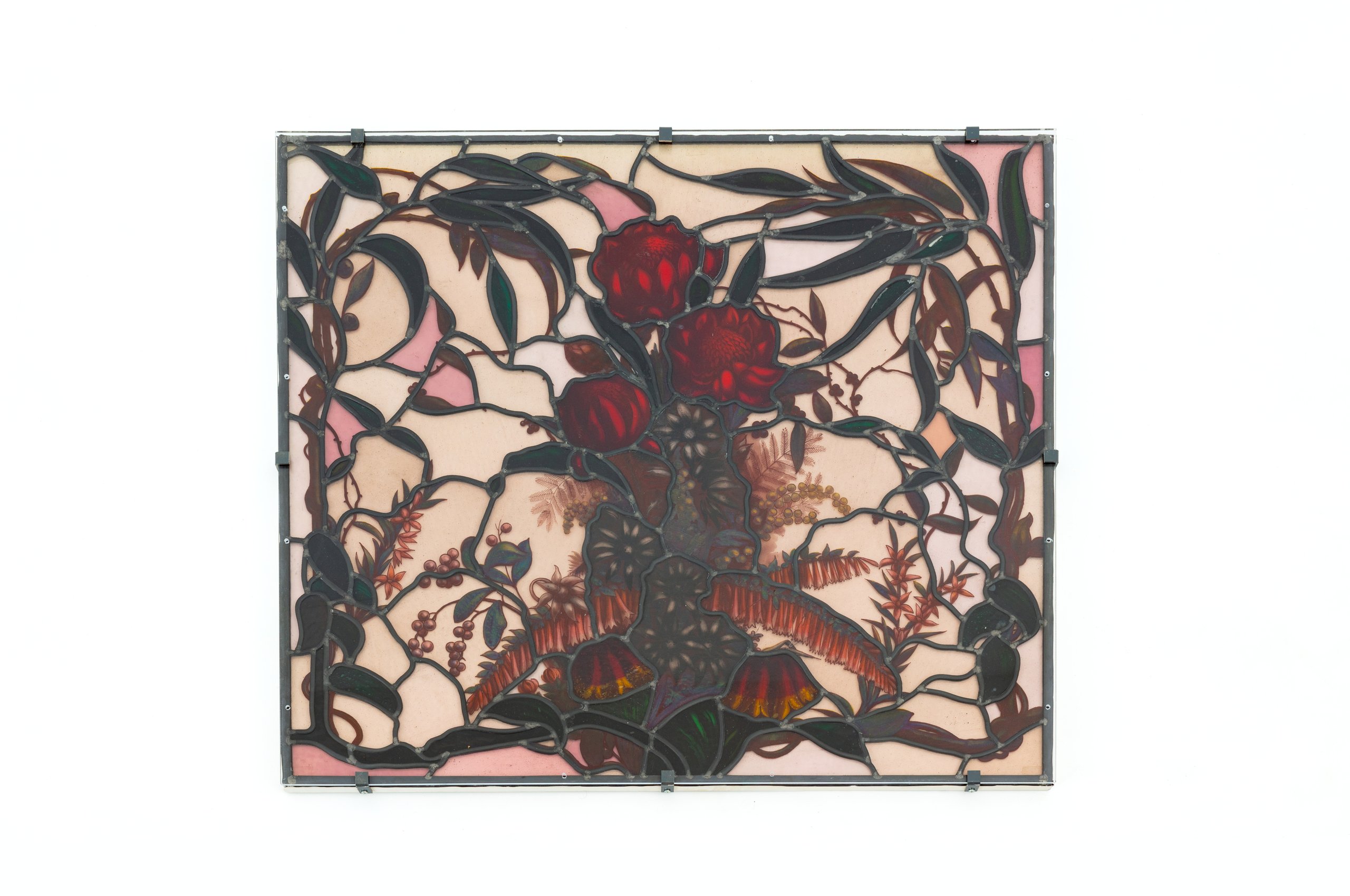 Stained glass panel with waratah design by George Hulme