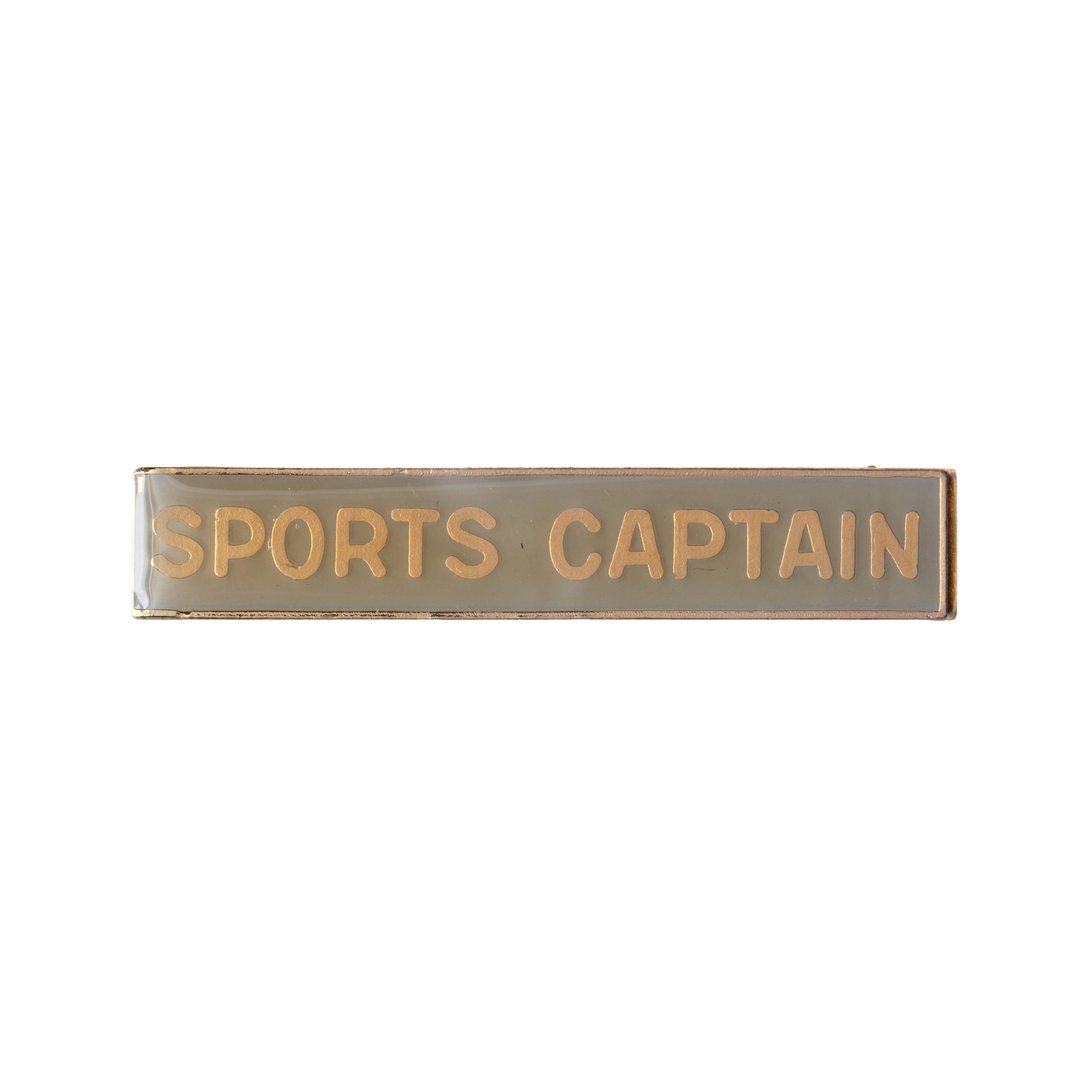 Sports Captain Rectangle Polydome Budget Badge - Silver Finish, Pin Back, For School Blazers & Uniforms