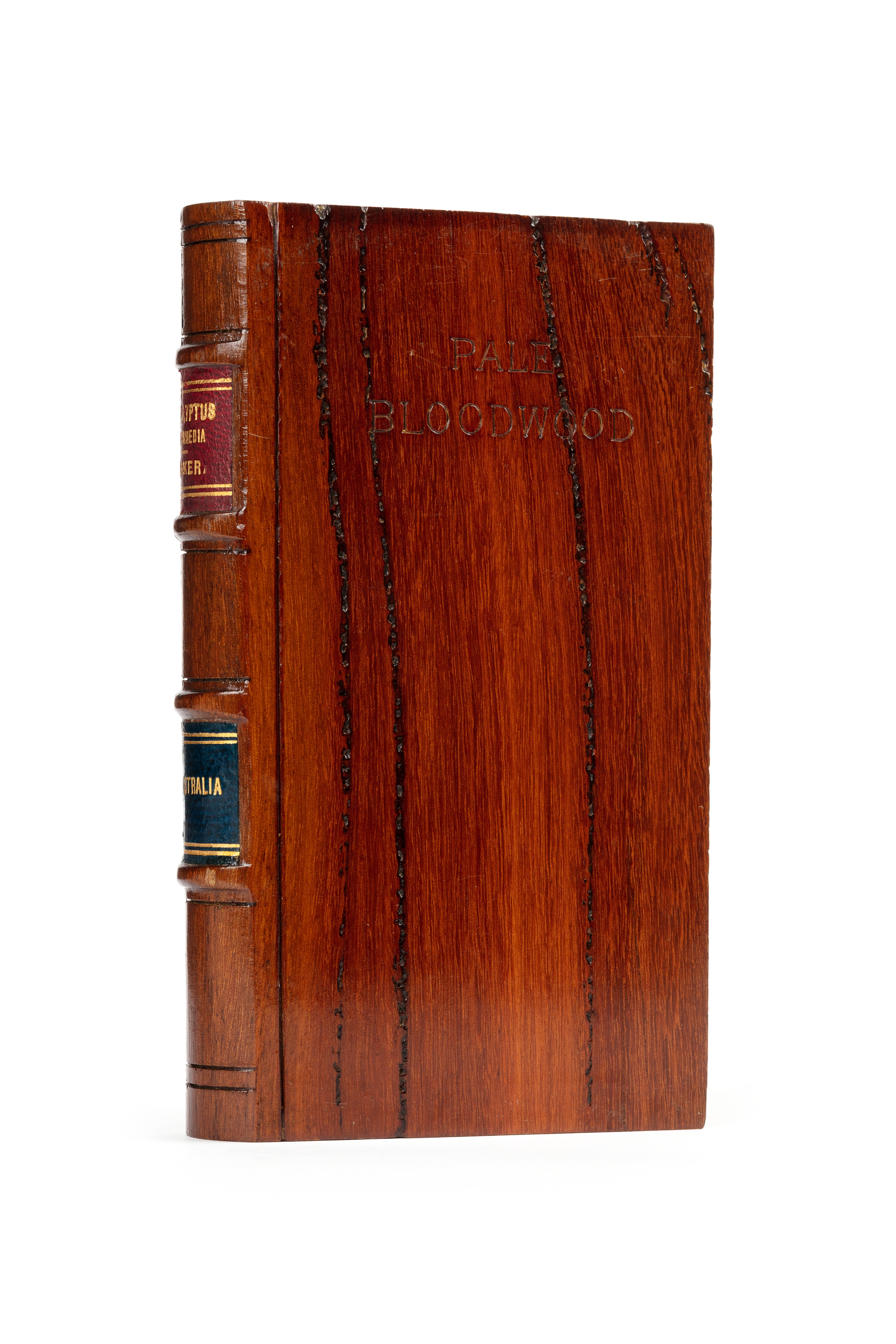 'Eucalyptus intermedia / Pale Bloodwood' timber sample in the form of a book