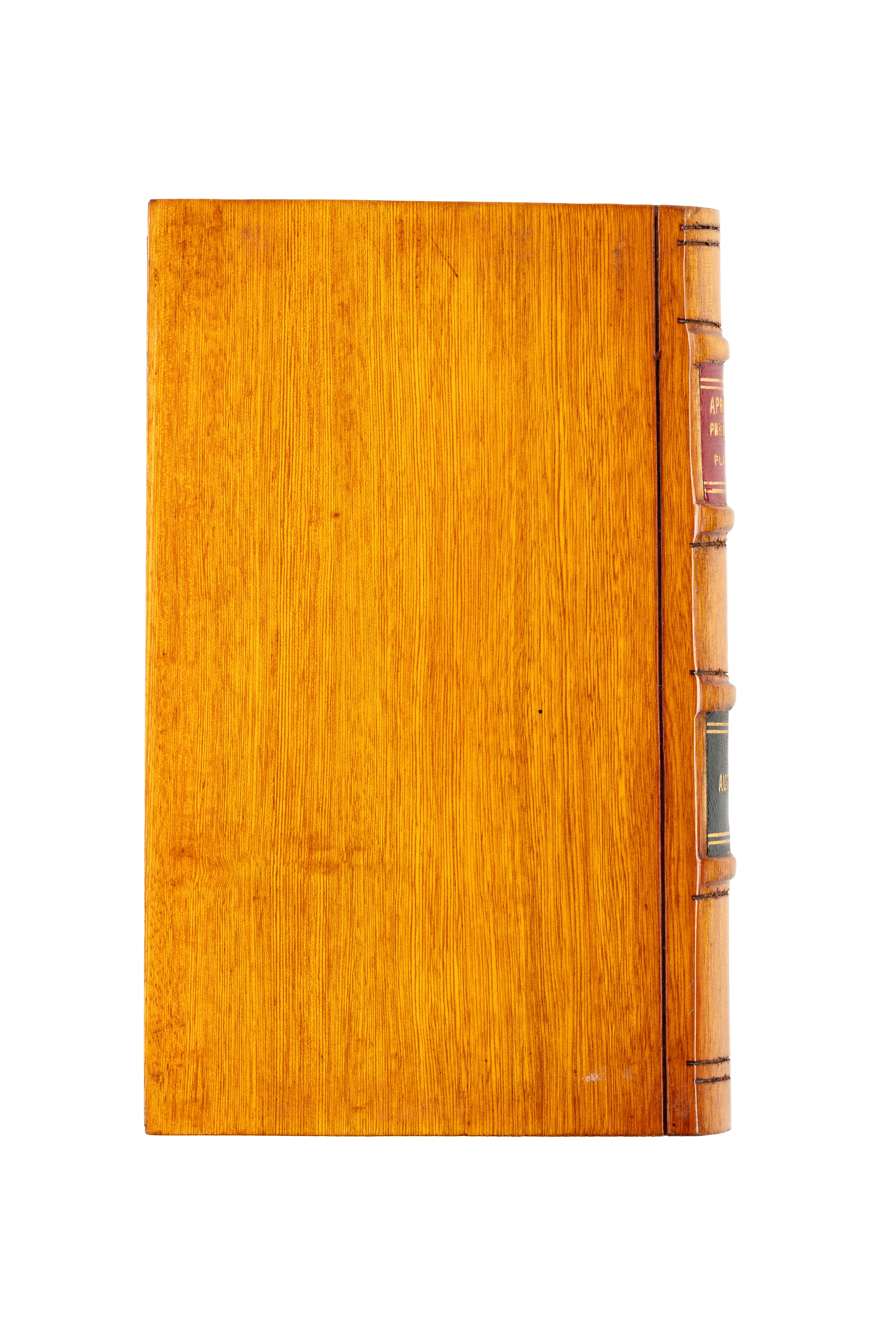 'Aphananthe philippinensis / Native Elm' timber sample in the form of a book