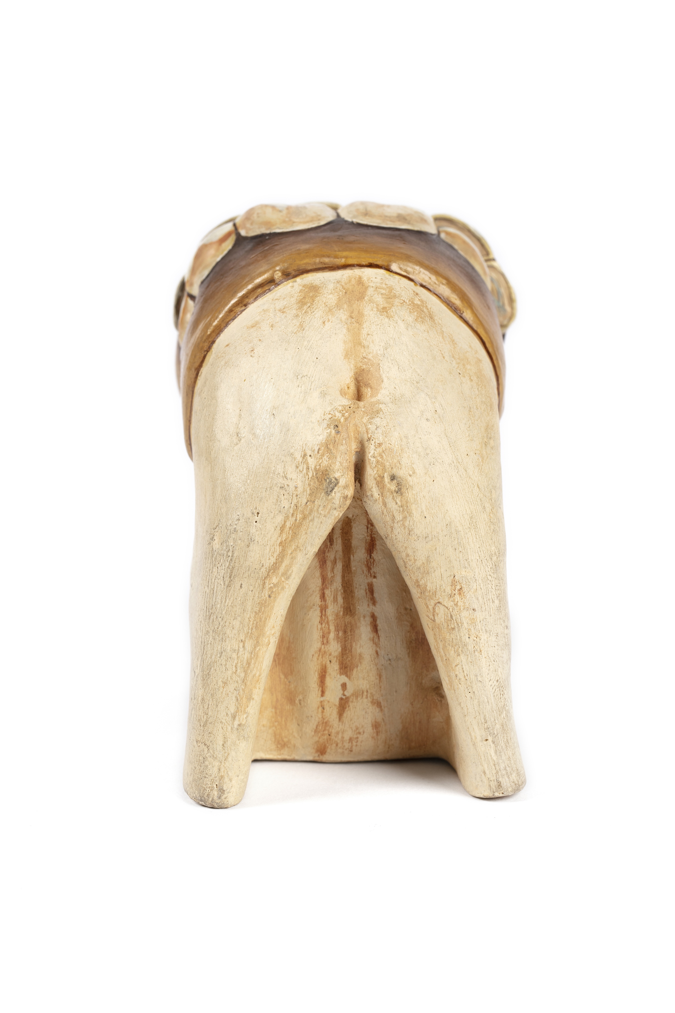 Cast of horse teeth set