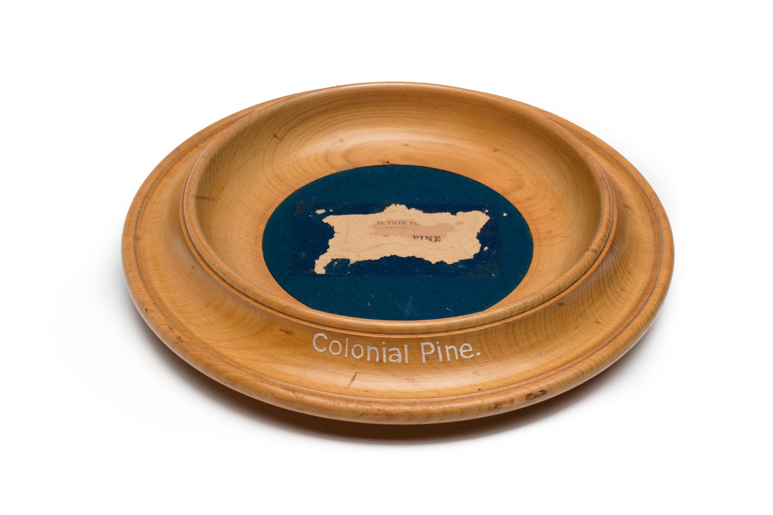 Timber specimen, collection plate made of Colonial Pine (Arancaria Cunninghamii)