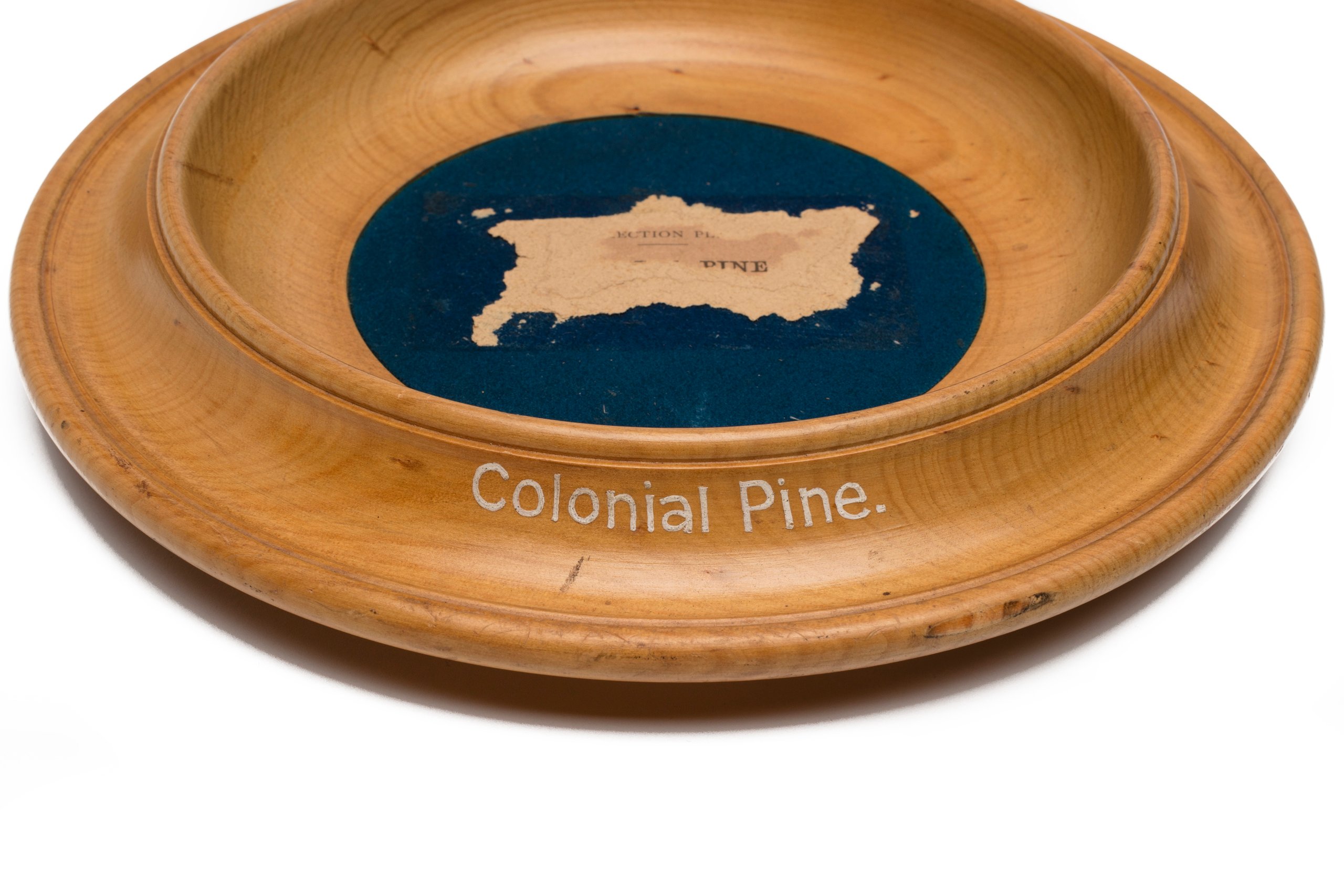 Timber specimen, collection plate made of Colonial Pine (Arancaria Cunninghamii)