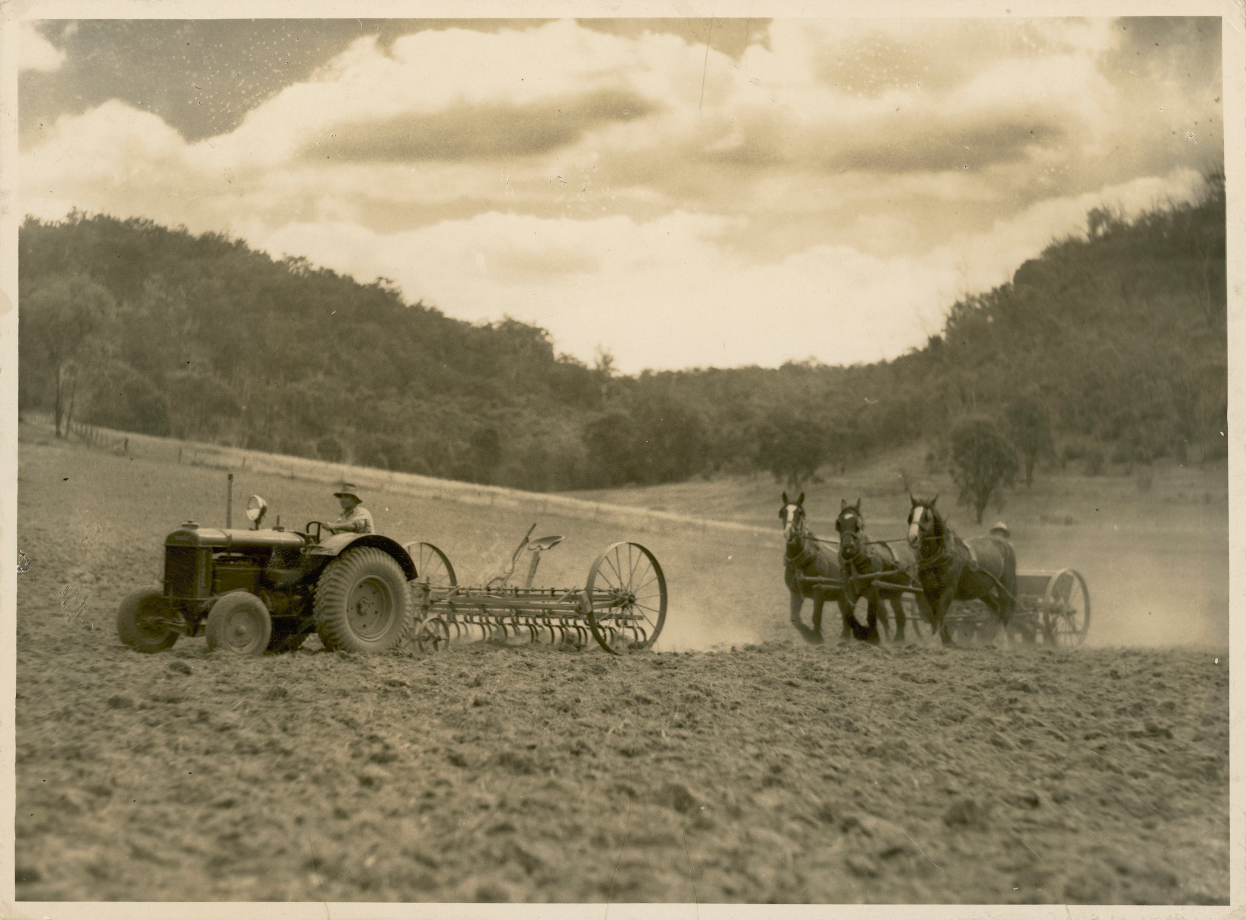 Five photographs demonstrating the preparation and planting of a field