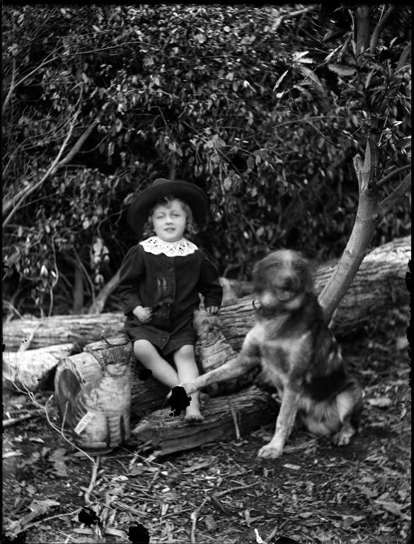 Glass plate negative of portrait view of child wearing a sun hat, with dog and toy cat