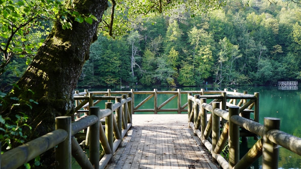 Image téléchargée