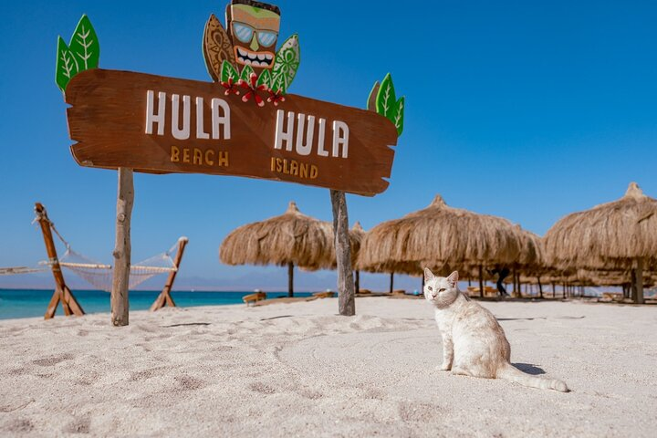 Hula Hula Adası Elite Lüks Bot Turu | Hurghada Transferleri, Öğle ...