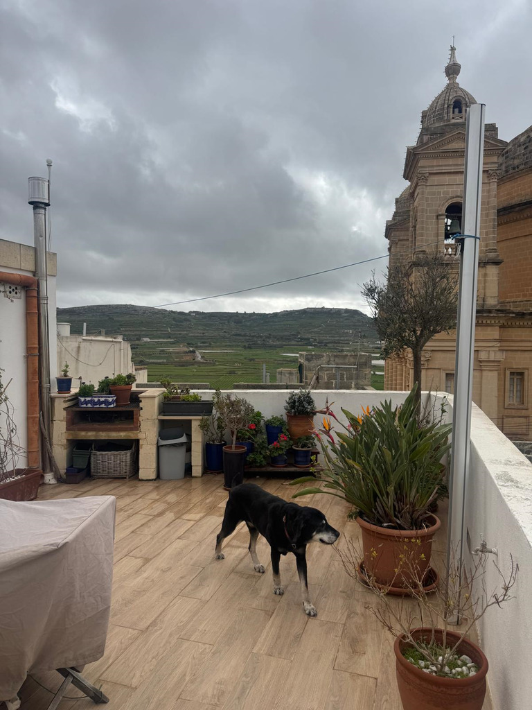 3 Bedroom House of Character for Long Let in Mġarr - €2,500/month photo 19