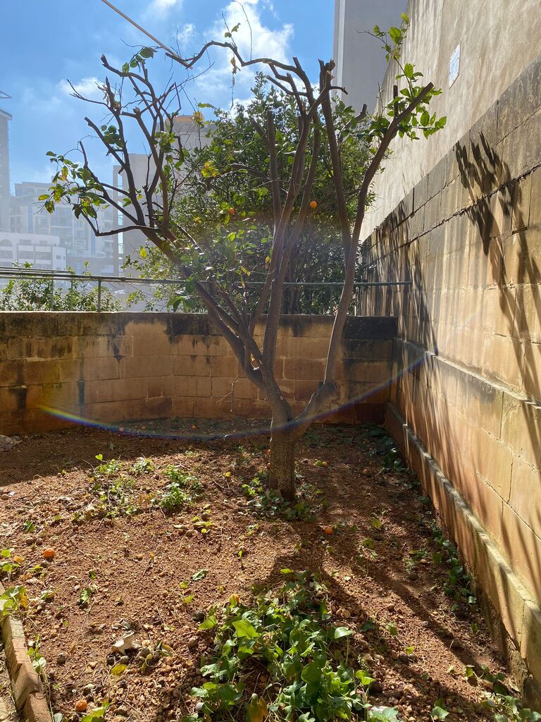 3 Bedroom Villa for Long Let in St. Julian's - €1,800/month photo 17