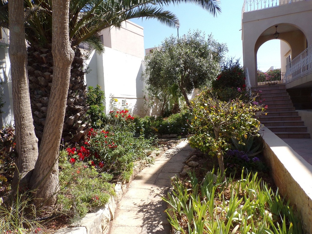 6 Bedroom Villa for Long Let in Madliena - €6,000/month photo 2