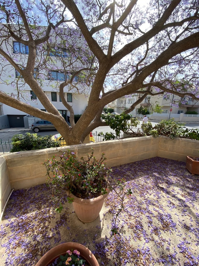 4 Bedroom Villa for Long Let in Balzan - €7,000/month photo 4