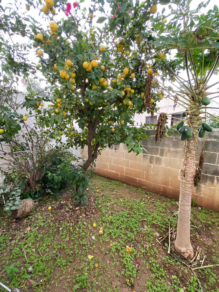 Hotel for Long Let in St. Julian's - €5,000/month photo 19