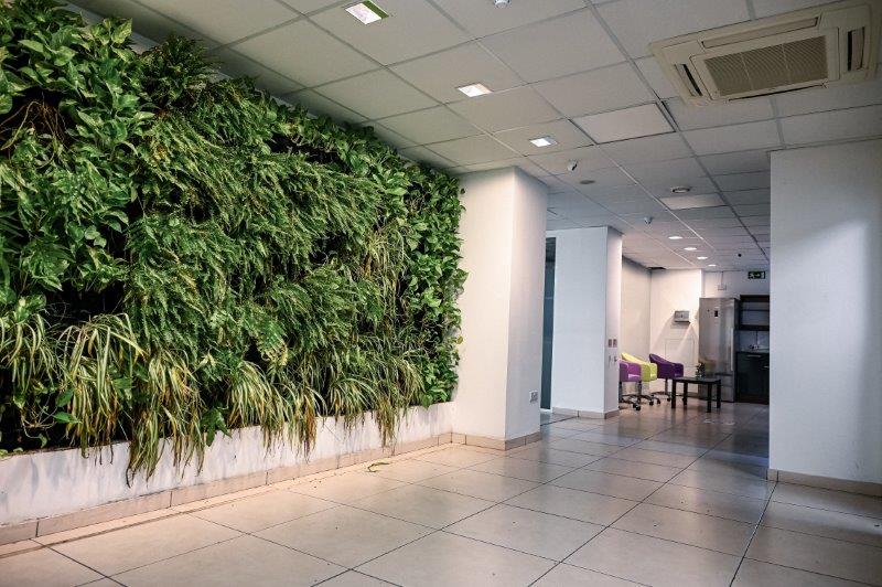 Office for Long Let in Sliema - €11,875/month