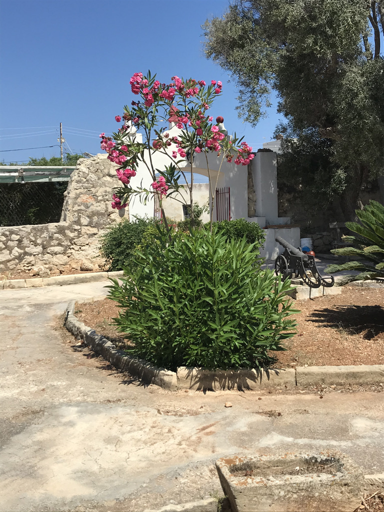 3 Bedroom Villa for Long Let in Kalkara - €7,000/month photo 16