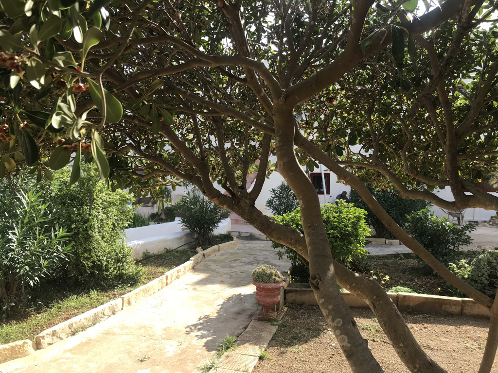 3 Bedroom Villa for Long Let in Kalkara - €7,000/month photo 22