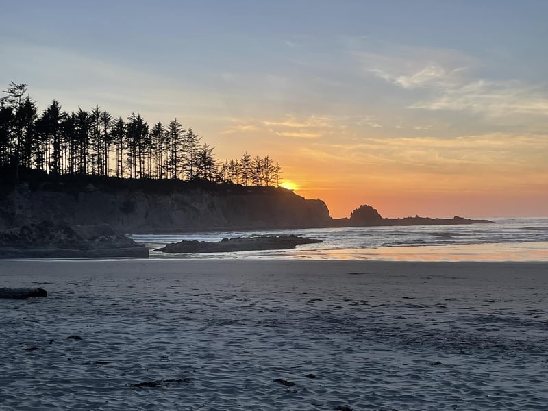 A serene coastal sunset with a silhouetted forest on the cliffs above a calm beach.