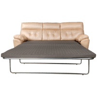Pullout Couch/Sleeper Sofa
