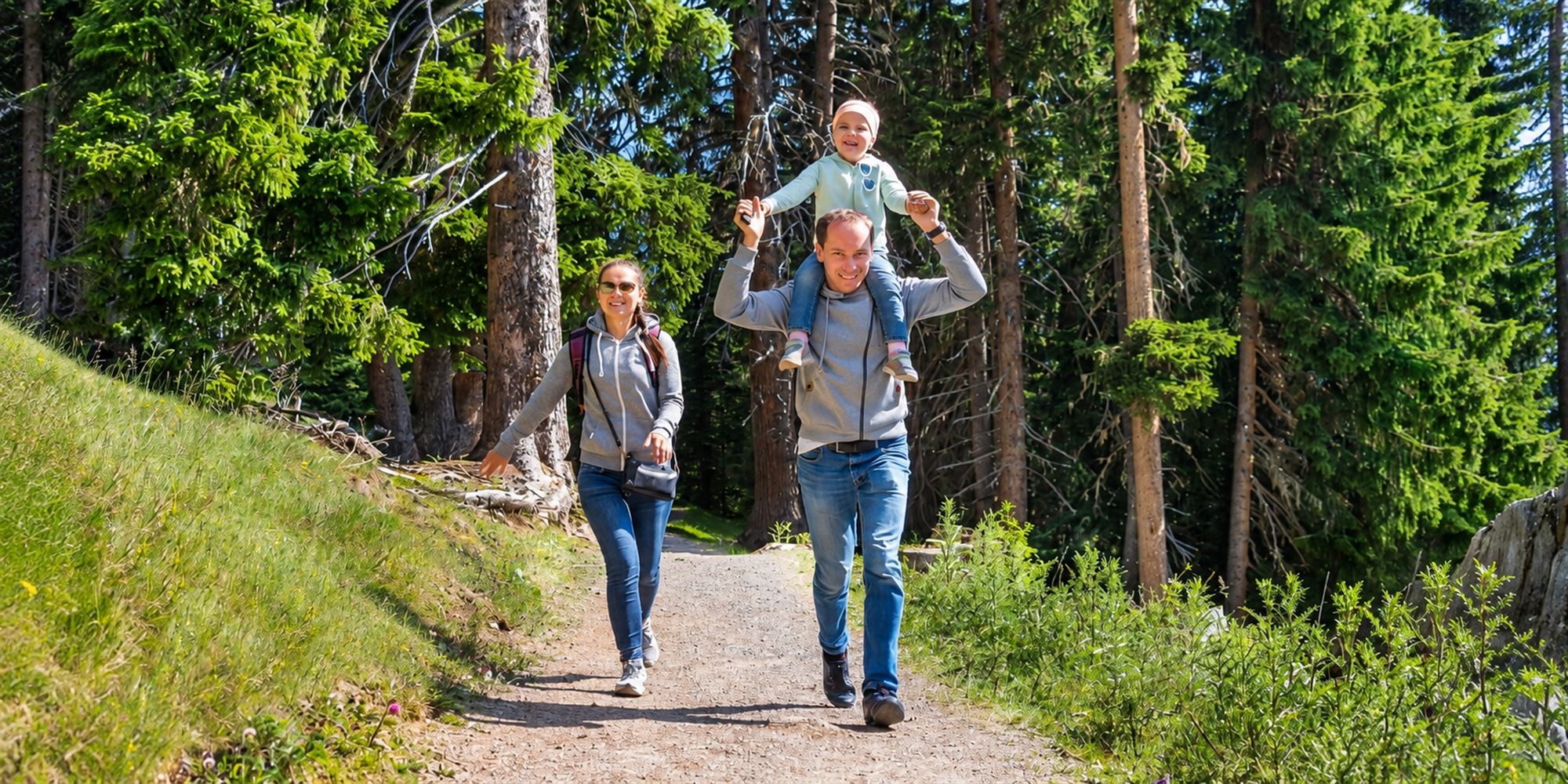 A family walks along a path through a pine forest, a child riding on a parent's shoulders.