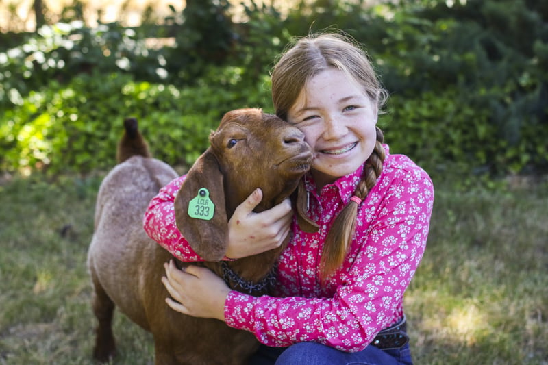 Girl hugging a show goat at an agricultural event