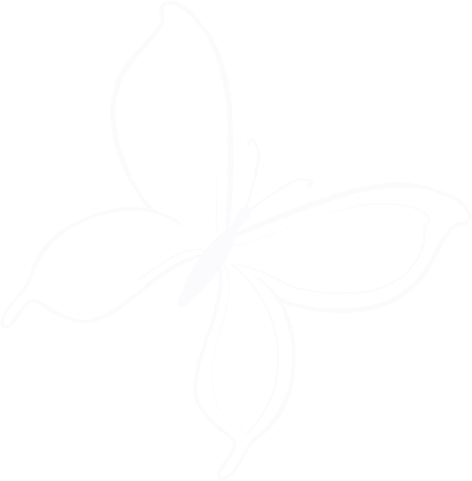 Decorative butterfly