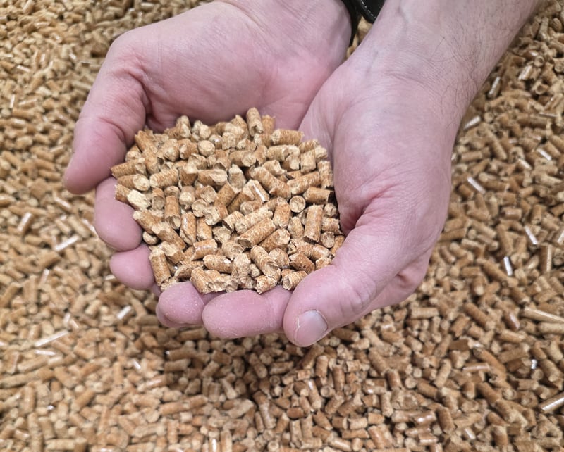 Close-up of hands holding wood pellets