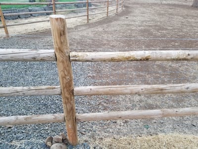 Wooden 3-Rail Fence