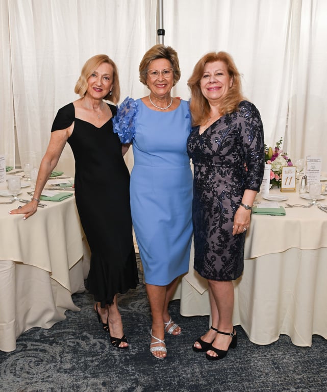 Gallery photo from a previous HMADS gala