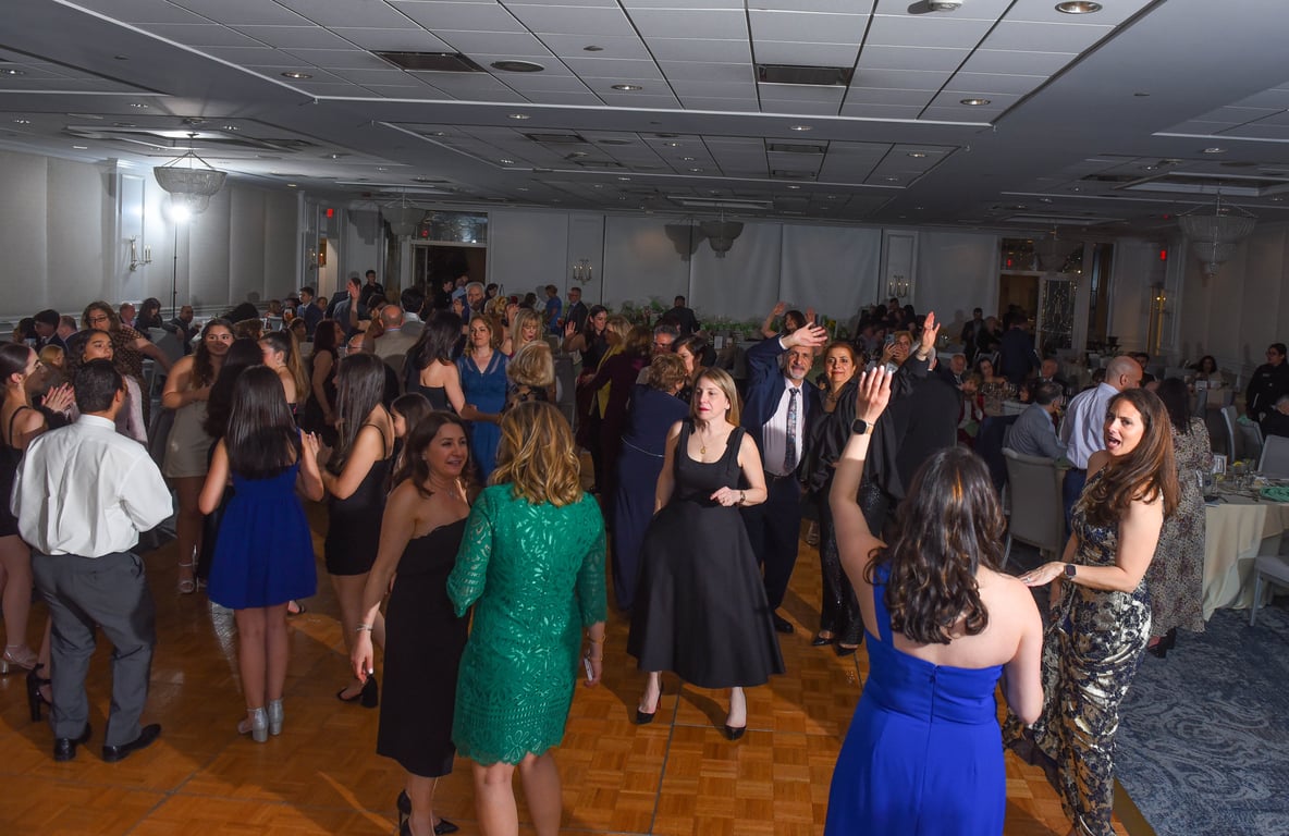 Gallery photo from a previous HMADS gala