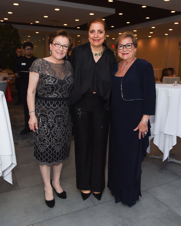 Gallery photo from a previous HMADS gala